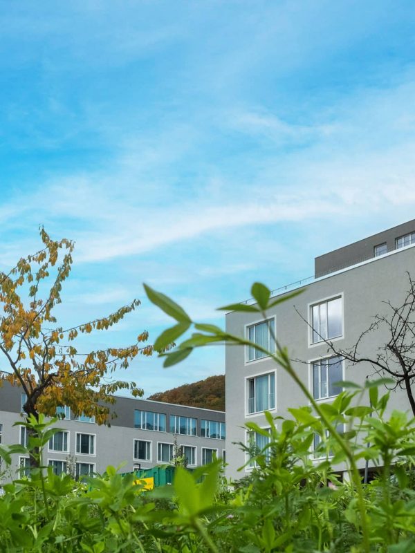 Weserlandklinik-Klinik_002
